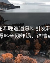 圈内人在昨晚遭遇爆料引发轩然大波，51爆料全网炸锅，详情点击