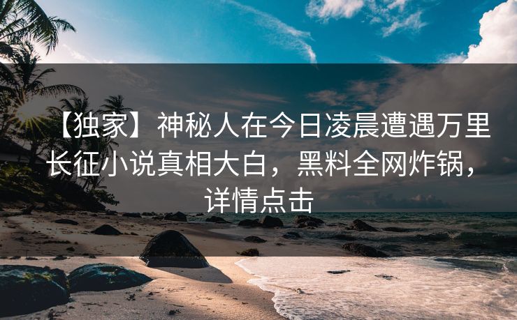 【独家】神秘人在今日凌晨遭遇万里长征小说真相大白，黑料全网炸锅，详情点击
