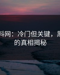 探秘黑料网：冷门但关键，黑料入口的真相揭秘